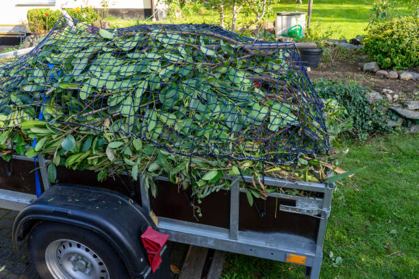 Best Shed Removal  in Jamestown, TN